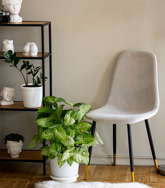 2026 Ev Dekorasyon Trendleri