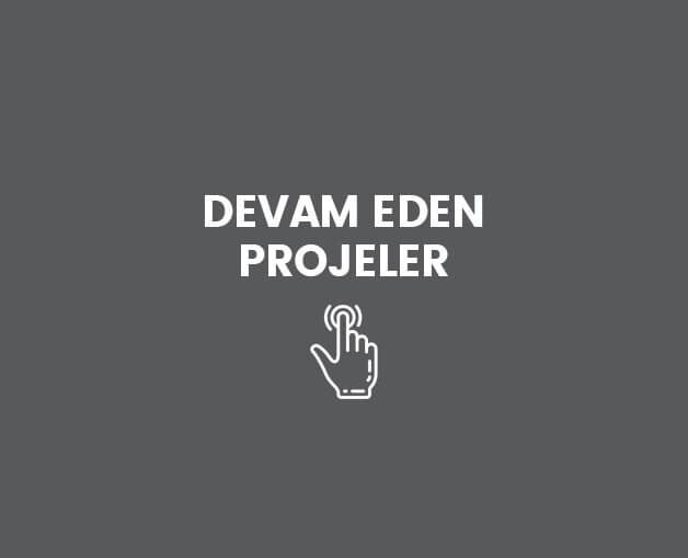 Devam Eden Projeler